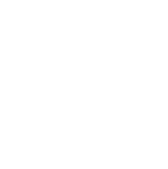 Naseeb Logo